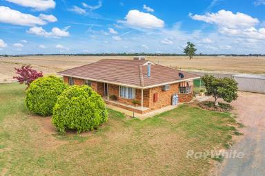 Lifestyle For Sale - VIC - Rochester - 3561 - Hidden Country Gem!!!  (Image 2)