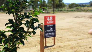 Residential Block For Sale - QLD - Warwick - 4370 - PREMIUM LIFESTYLE LAND  (Image 2)