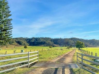 Mixed Farming For Sale - NSW - Kyogle - 2474 - "RIVERVIEW" KYOGLE  (Image 2)