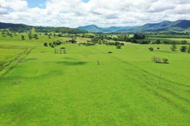Mixed Farming For Sale - NSW - Kyogle - 2474 - "RIVERVIEW" KYOGLE  (Image 2)