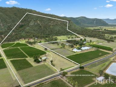 Viticulture Sold - NSW - Broke - 2330 - Catherine Vale - An iconic Hunter Valley Estate  (Image 2)