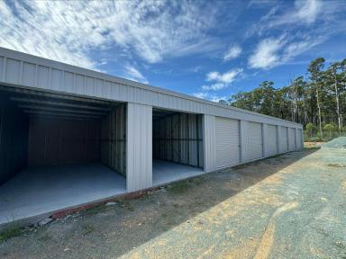 Warehouse For Lease - NSW - Wallabi Point - 2430 - STORAGE SHEDS  (Image 2)