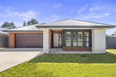 House Leased - VIC - Mansfield - 3722 - Spacious Modern Home with 4 Bedrooms, Double Garage, and Low Maintenance Yard  (Image 2)