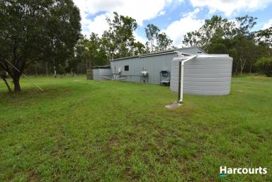 Lifestyle Sold - QLD - Horton - 4660 - 28 Acres of Quiet Comfortable Living  (Image 2)