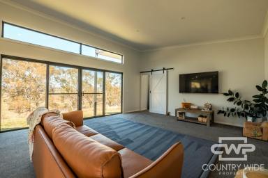 Acreage/Semi-rural Leased - NSW - Glen Innes - 2370 - Modern 4-Bedroom Off-Grid Home for Rent, A Dream Rental.  (Image 2)