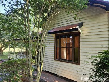 House Leased - NSW - Berry - 2535 - Cozy Country Cottage  (Image 2)
