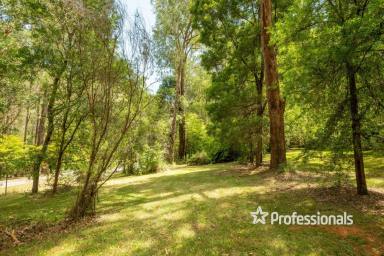 House Sold - VIC - Reefton - 3799 - FANTASTIC WEEKEND ESCAPE 1.4 ACRES APPROX  (Image 2)