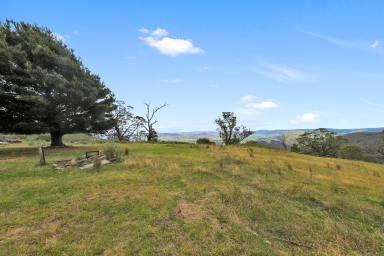 Residential Block Sold - NSW - Tumut - 2720 - Rural Land  (Image 2)