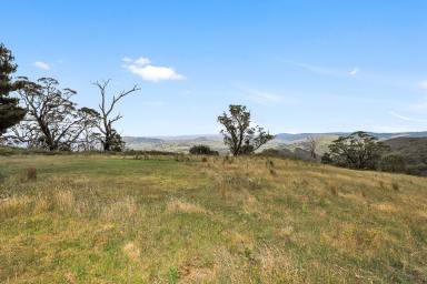 Residential Block Sold - NSW - Tumut - 2720 - Rural Land  (Image 2)