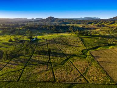 Residential Block For Sale - NSW - Kyogle - 2474 - 23 Lots Sold - Only 9 Remaining!  (Image 2)