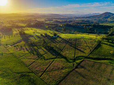 Residential Block For Sale - NSW - Kyogle - 2474 - 23 Lots Sold - Only 9 Remaining!  (Image 2)