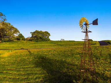 Residential Block For Sale - NSW - Kyogle - 2474 - Last Few Lots - Act Now and Save!  (Image 2)