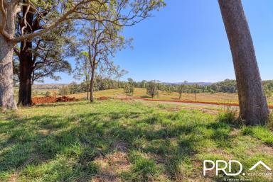 Residential Block For Sale - NSW - Kyogle - 2474 - Nearing Completion! The Fig Tree Estate  (Image 2)