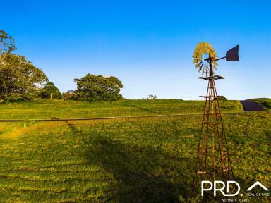 Residential Block For Sale - NSW - Kyogle - 2474 - Nearing Completion! 50% Sold!  (Image 2)