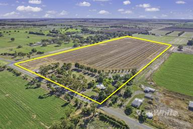Mixed Farming For Sale - VIC - Ballendella - 3561 - This ones special!  (Image 2)
