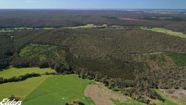 Other (Rural) For Sale - VIC - Won Wron - 3971 - SECLUDED BUSH BLOCK WITH LONG CREEK FRONTAGE  (Image 2)