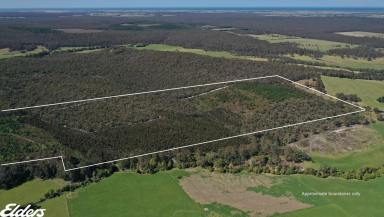Other (Rural) For Sale - VIC - Won Wron - 3971 - SECLUDED BUSH BLOCK WITH LONG CREEK FRONTAGE  (Image 2)