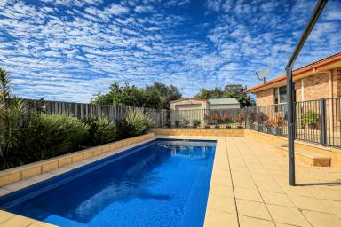 House Sold - QLD - Avoca - 4670 - INGROUND POOL, SHED, SOLAR, 2 LIVING AREAS - IMMACULATE  (Image 2)