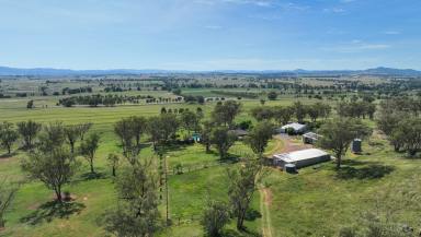Lifestyle For Sale - NSW - Tamworth - 2340 - CRESLEA - THE BEST YOU WILL FIND  (Image 2)