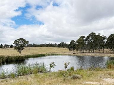 Livestock For Sale - NSW - Big Hill - 2579 - 40 Acres, perfect weekender location, good grazing country also, fully fenced, located only 30 Minutes Off The Hume Motorway and Marulan.  (Image 2)