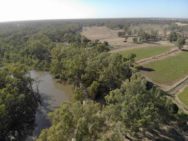 Mixed Farming For Sale - VIC - Gannawarra - 3568 - Outstanding Opportunity  (Image 2)