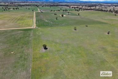 Cropping For Sale - VIC - Greens Creek - 3387 - Greens Creek Cropping/Grazing - 1303 Acres  (Image 2)