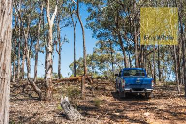 Lifestyle For Sale - NSW - Gunning - 2581 - Adventure Playground  (Image 2)