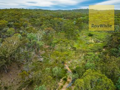 Lifestyle For Sale - NSW - Gunning - 2581 - Adventure Playground  (Image 2)