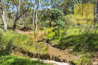 Lifestyle For Sale - NSW - Gunning - 2581 - Adventure Playground  (Image 2)