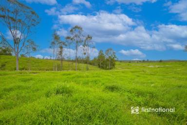 Livestock For Sale - QLD - Monduran - 4671 - YOUR VERY OWN PONDEROSA  (Image 2)