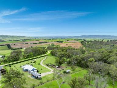 Acreage/Semi-rural Sold - NSW - Bega - 2550 - COUNTRY LIVING AT ITS BEST  (Image 2)