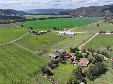 Livestock For Sale - NSW - Sandy Hollow - 2333 - Premier Hunter Valley Equine Facility  (Image 2)