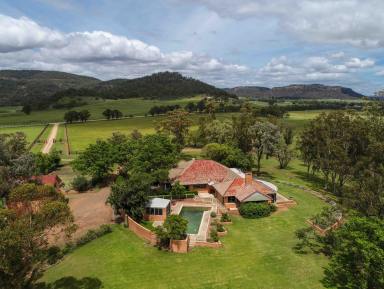 Livestock For Sale - NSW - Sandy Hollow - 2333 - Premier Hunter Valley Equine Facility  (Image 2)