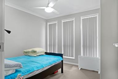 Unit Leased - QLD - Cranley - 4350 - Neat and Tidy unit in Quiet area  (Image 2)