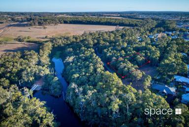 Residential Block Sold - WA - Margaret River - 6285 - Stunning Nature Reserve Views  (Image 2)