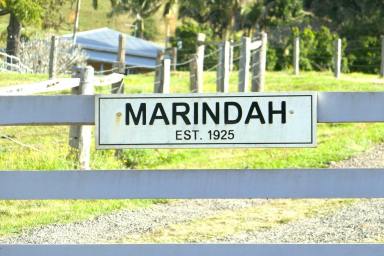 Lifestyle For Sale - NSW - Smiths Creek - 2474 - "MARINDAH"  (Image 2)