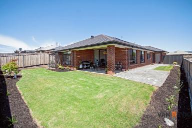 House For Sale - VIC - Lucknow - 3875 - Recently Established Upgraded Home on Bairnsdale Outskirts  (Image 2)