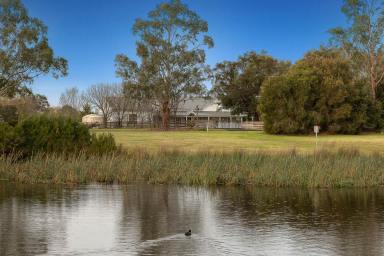 Acreage/Semi-rural Sold - VIC - Pearcedale - 3912 - Exceptional Country Homestead with Lake Views  (Image 2)
