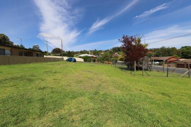 Residential Block For Sale - NSW - Tumut - 2720 - Central Land!  (Image 2)