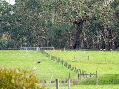 Lifestyle For Sale - VIC - Heywood - 3304 - 100 Ac - 40.46 Ha*  Opportunities like this don’t come along often!  (Image 2)