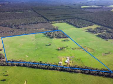 Lifestyle For Sale - VIC - Heywood - 3304 - 100 Ac - 40.46 Ha*  Opportunities like this don’t come along often!  (Image 2)