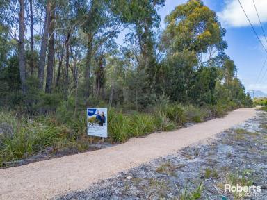 Residential Block Sold - TAS - Scamander - 7215 - Retreat to a Better Lifestyle  (Image 2)