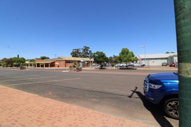 Other (Residential) For Sale - WA - Wagin - 6315 - Commercial Land  (Image 2)