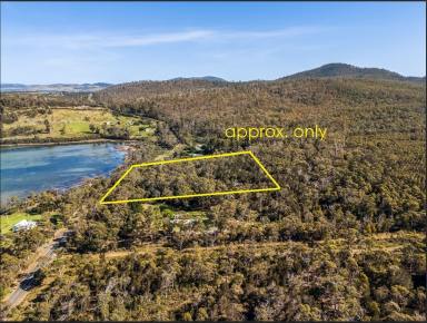 Residential Block For Sale - TAS - Murdunna - 7178 - Blank canvas, approx. 7.5 acres of native bushland, across the road from the coastal community walking track  (Image 2)