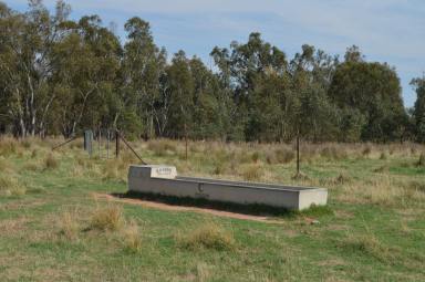 Mixed Farming For Sale - NSW - Lake Cargelligo - 2672 - Lake Cargelligo Lease Block - $55 per acre  (Image 2)