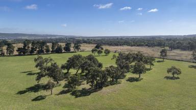 Residential Block For Sale - VIC - Dromana - 3936 - Dream Acreage In Wine Country With Endless Potential & Potential Dual Access  (Image 2)