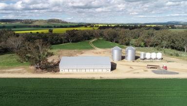 Cropping For Sale - NSW - Grenfell - 2810 - High Rainfall Cropping  (Image 2)