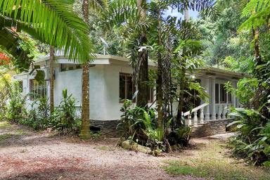 House For Sale - QLD - Daintree - 4873 - SECLUDED RAINFOREST PARADISE, WITH CREEK ON 1 HA - SELLING AS IS  (Image 2)