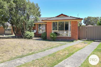 House Sold - NSW - Thurgoona - 2640 - A SOLID INVESTMENT  (Image 2)