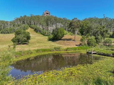 Lifestyle For Sale - NSW - Upper Lansdowne - 2430 - “KELLIVALE” - Inspection Available Sat 16th November 2024 - 1pm Call To Confirm  (Image 2)